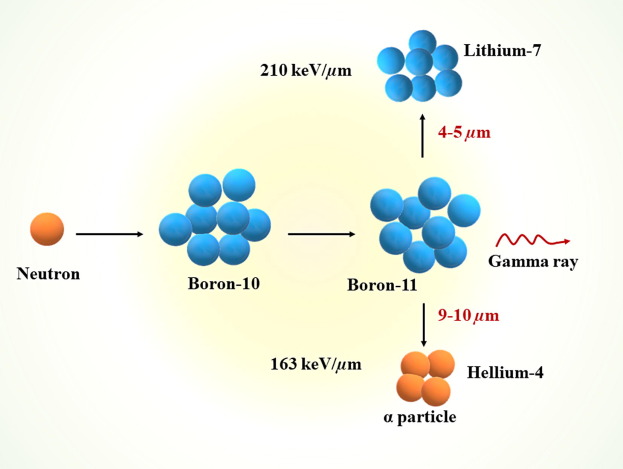 Boron In Neutron Capture For Nuclear Power Safety | Borate Today